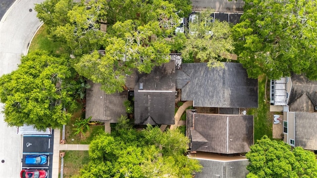 2373 Hounds Trl, Palm Harbor, FL 34683 - bird's eye view