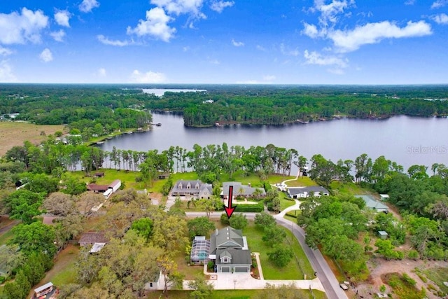 18929 Crescent Rd, Odessa, FL 33556 - view of property location with a nearby body of water and a forest