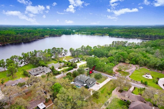 18929 Crescent Rd, Odessa, FL 33556 - aerial view of property's location with a forest and a nearby body of water