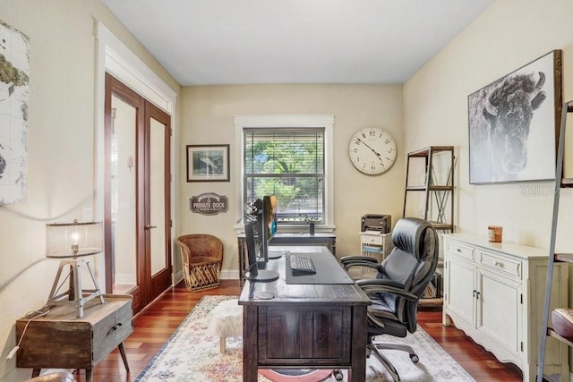 18929 Crescent Rd, Odessa, FL 33556 - office space with dark wood-type flooring, french doors, and baseboards