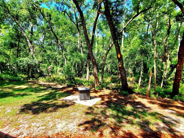 3529 Tanglewood Trl, Palm Harbor, FL 34685 - view of yard