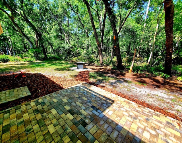 3529 Tanglewood Trl, Palm Harbor, FL 34685 - view of patio / terrace