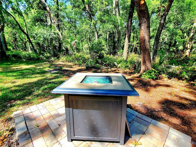 3529 Tanglewood Trl, Palm Harbor, FL 34685 - view of yard