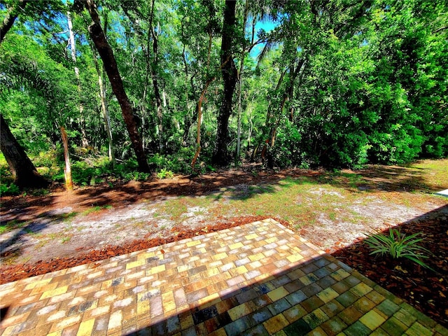 3529 Tanglewood Trl, Palm Harbor, FL 34685 - view of yard featuring a patio
