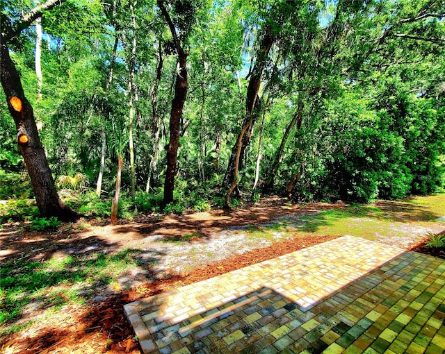3529 Tanglewood Trl, Palm Harbor, FL 34685 - view of yard with a patio area