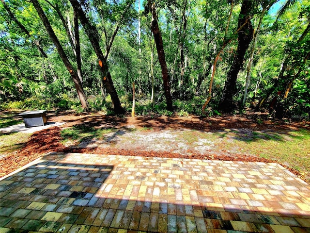 3529 Tanglewood Trl, Palm Harbor, FL 34685 - view of patio / terrace