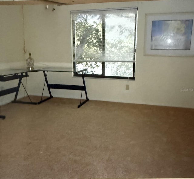 empty room with plenty of natural light and carpet floors
