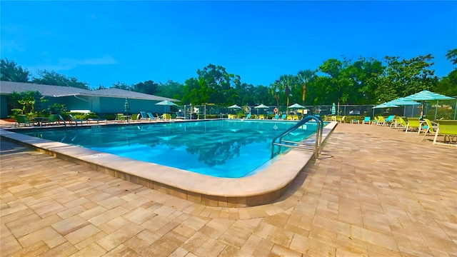 3086 Pointer Dr, Palm Harbor, FL 34683 - community pool featuring a patio