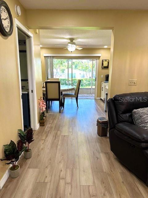 3086 Pointer Dr, Palm Harbor, FL 34683 - corridor with light wood-type flooring and baseboards
