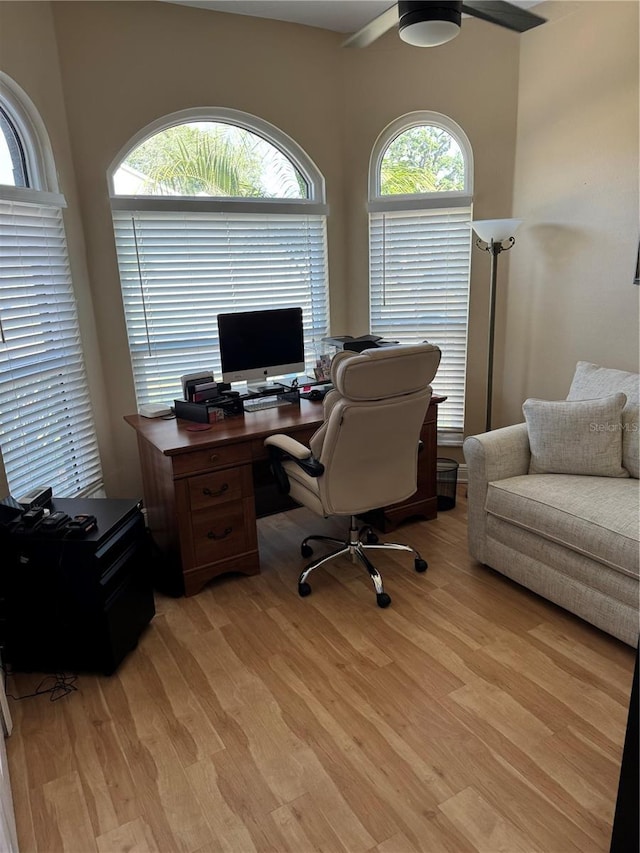 1747 Wood Brook St, Tarpon Springs, FL 34689 - office space featuring light wood-style floors and ceiling fan