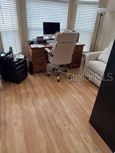 1747 Wood Brook St, Tarpon Springs, FL 34689 - home office with light wood-style floors and plenty of natural light