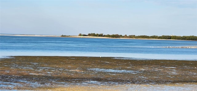 1747 Wood Brook St, Tarpon Springs, FL 34689 - water view