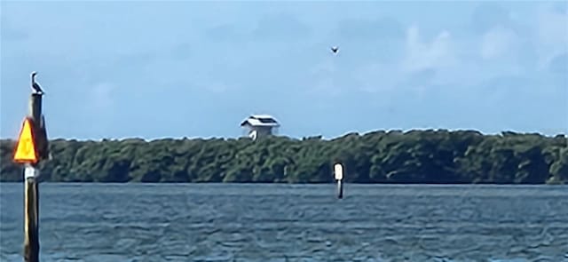 1747 Wood Brook St, Tarpon Springs, FL 34689 - water view