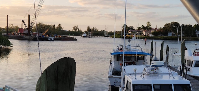 1747 Wood Brook St, Tarpon Springs, FL 34689 - dock area with a water view