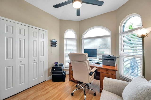 1747 Wood Brook St, Tarpon Springs, FL 34689 - photo 67