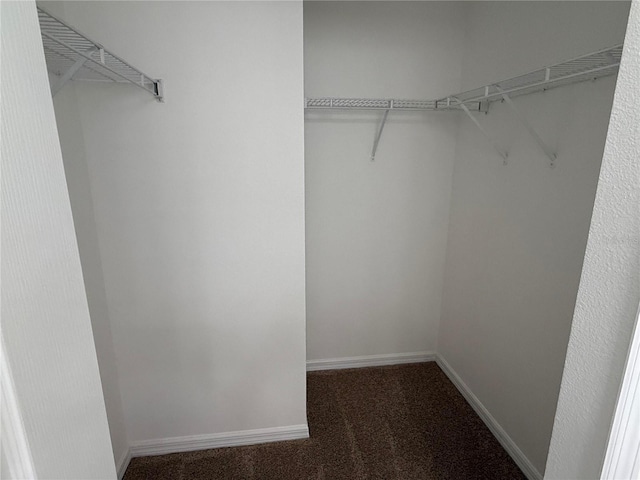 walk in closet featuring carpet floors