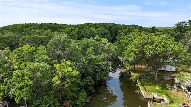 7165 Crk 655, Bushnell, FL 33513 - bird's eye view of a nearby body of water and a heavily wooded area