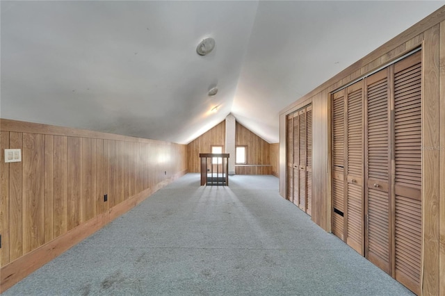 5603 Palmetto Rd, New Port Richey, FL 34652 - additional living space with wooden walls, vaulted ceiling, and carpet floors