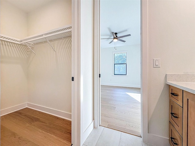 walk in closet with a ceiling fan and light wood-type flooring