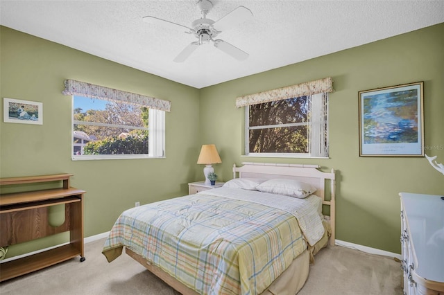 2950 Curling Ct, Palm Harbor, FL 34684 - photo 11