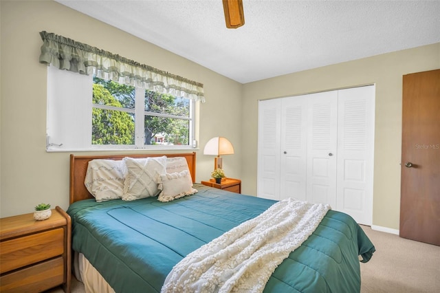 2950 Curling Ct, Palm Harbor, FL 34684 - photo 8