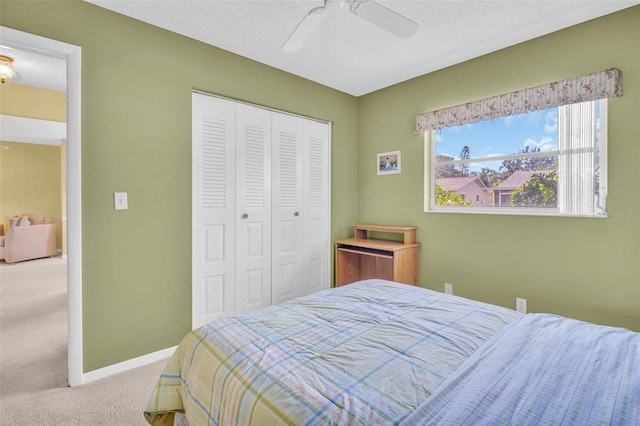 2950 Curling Ct, Palm Harbor, FL 34684 - photo 12