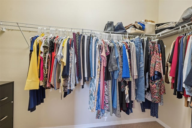 11220 Godwit Ct, New Port Richey, FL 34654 - walk in closet featuring carpet