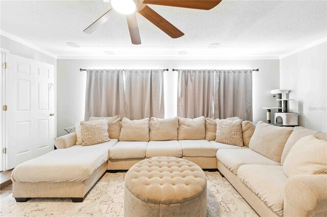 living room featuring a textured ceiling, ceiling fan, and ornamental molding