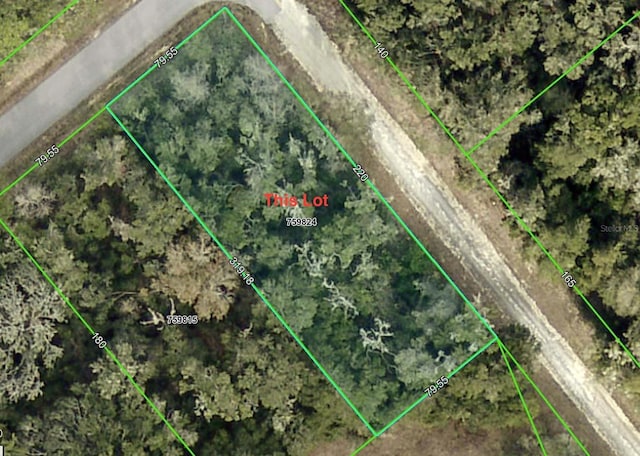Smallman St, Webster FL, 33597 land for sale