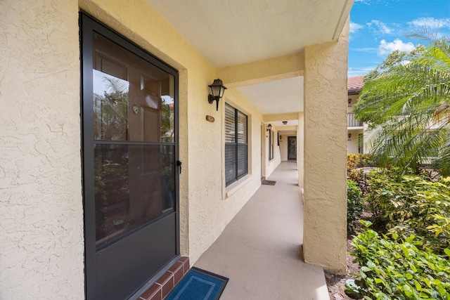 404 Hammock Pine Blvd Unit 404, Clearwater, FL 33761 - doorway to property featuring stucco siding