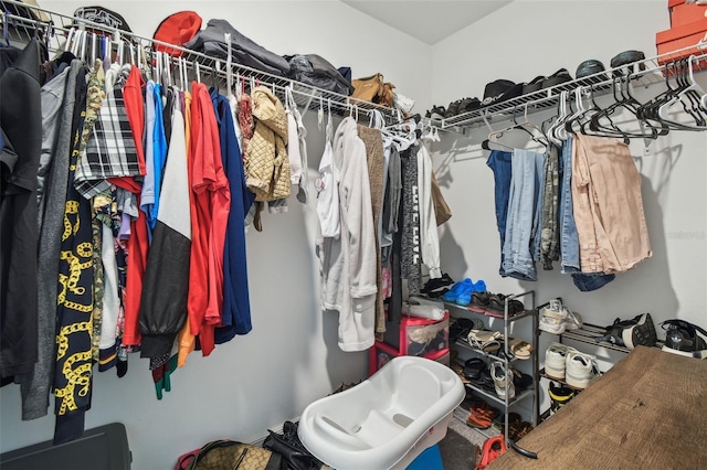 view of spacious closet