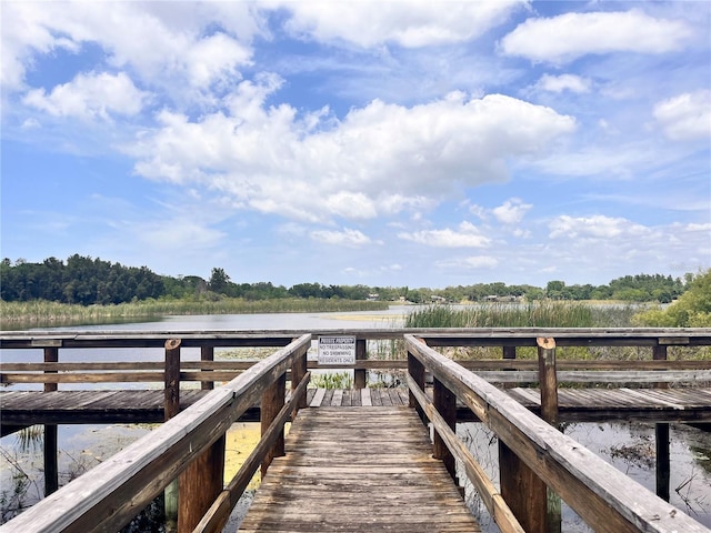 dock area with a water view