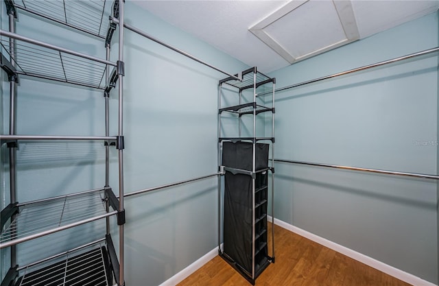 4805 Alt 19 Unit 421, Palm Harbor, FL 34683 - photo 19