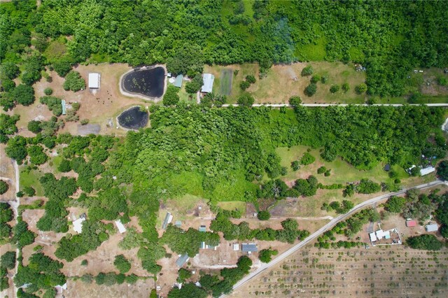 5870 Skokie Rd, Lake Wales, FL 33898 - photo 2