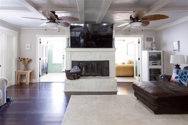 12021 144th St, Largo, FL 33774 - photo 28