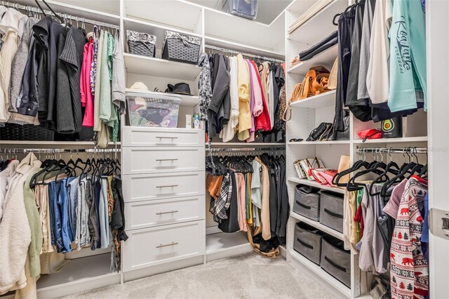 4808 Jackson Club Loop, Tampa, FL 33624 - view of walk in closet