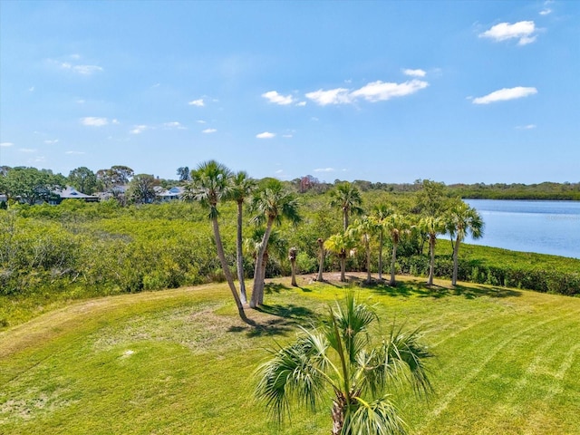 view of home's community with a yard and a water view