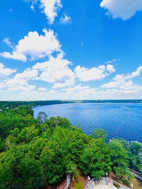 13415 Blue Heron Beach Dr Unit 1006, Orlando, FL 32821 - view of water feature