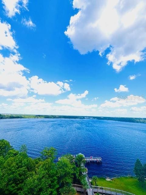 13415 Blue Heron Beach Dr Unit 1006, Orlando, FL 32821 - property view of water
