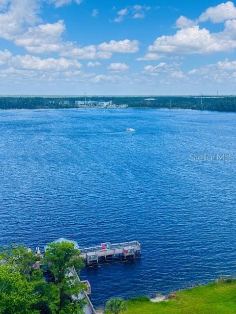 13415 Blue Heron Beach Dr Unit 1006, Orlando, FL 32821 - view of water feature