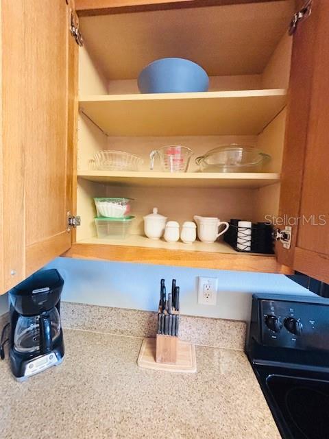 13415 Blue Heron Beach Dr Unit 1006, Orlando, FL 32821 - room details featuring electric stove, open shelves, and light countertops