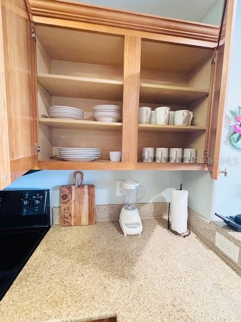 13415 Blue Heron Beach Dr Unit 1006, Orlando, FL 32821 - view of pantry