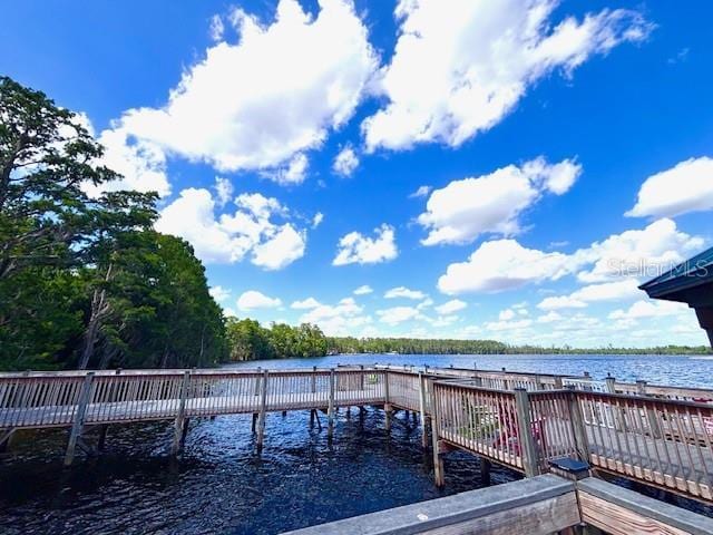 13415 Blue Heron Beach Dr Unit 1006, Orlando, FL 32821 - dock area featuring a water view