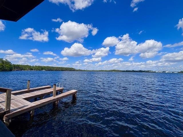13415 Blue Heron Beach Dr Unit 1006, Orlando, FL 32821 - view of dock featuring a water view
