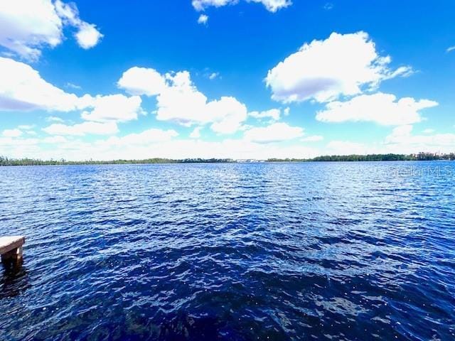 13415 Blue Heron Beach Dr Unit 1006, Orlando, FL 32821 - view of water feature