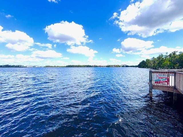 13415 Blue Heron Beach Dr Unit 1006, Orlando, FL 32821 - property view of water