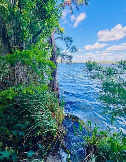 13415 Blue Heron Beach Dr Unit 1006, Orlando, FL 32821 - property view of water