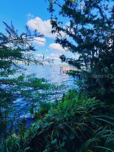 13415 Blue Heron Beach Dr Unit 1006, Orlando, FL 32821 - view of water feature