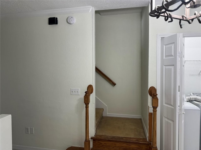 6405 Osprey Lake Cir, Riverview, FL 33578 - staircase with baseboards, carpet, and a textured ceiling