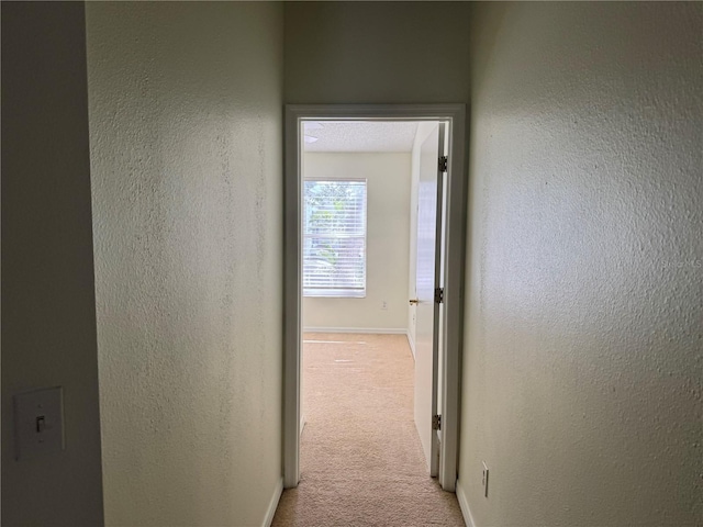 6405 Osprey Lake Cir, Riverview, FL 33578 - hallway featuring a textured wall, light colored carpet, and baseboards
